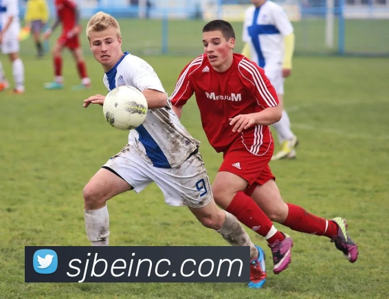 开云平台生态图